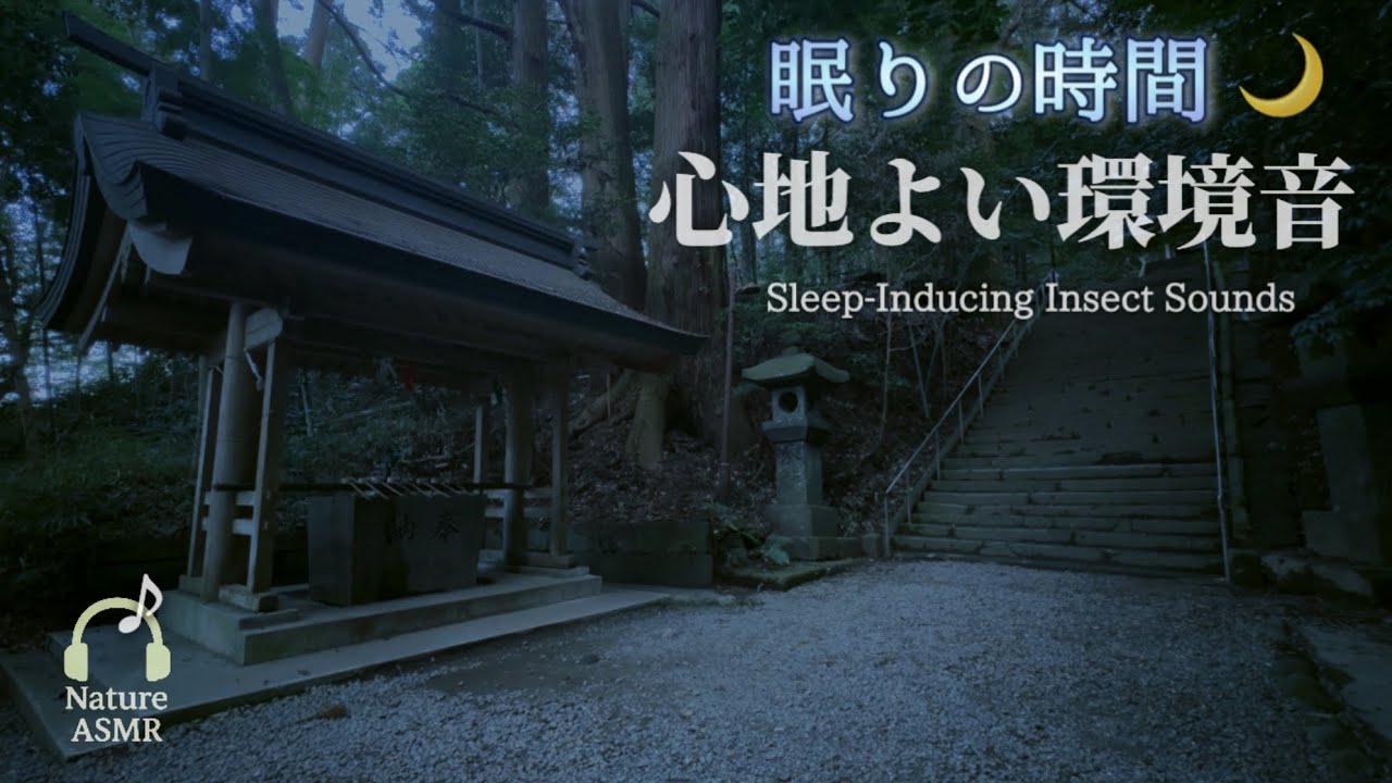 Nature ASMR: Relaxing Japanese Shrine Insect Sounds for Sleep 🌙
