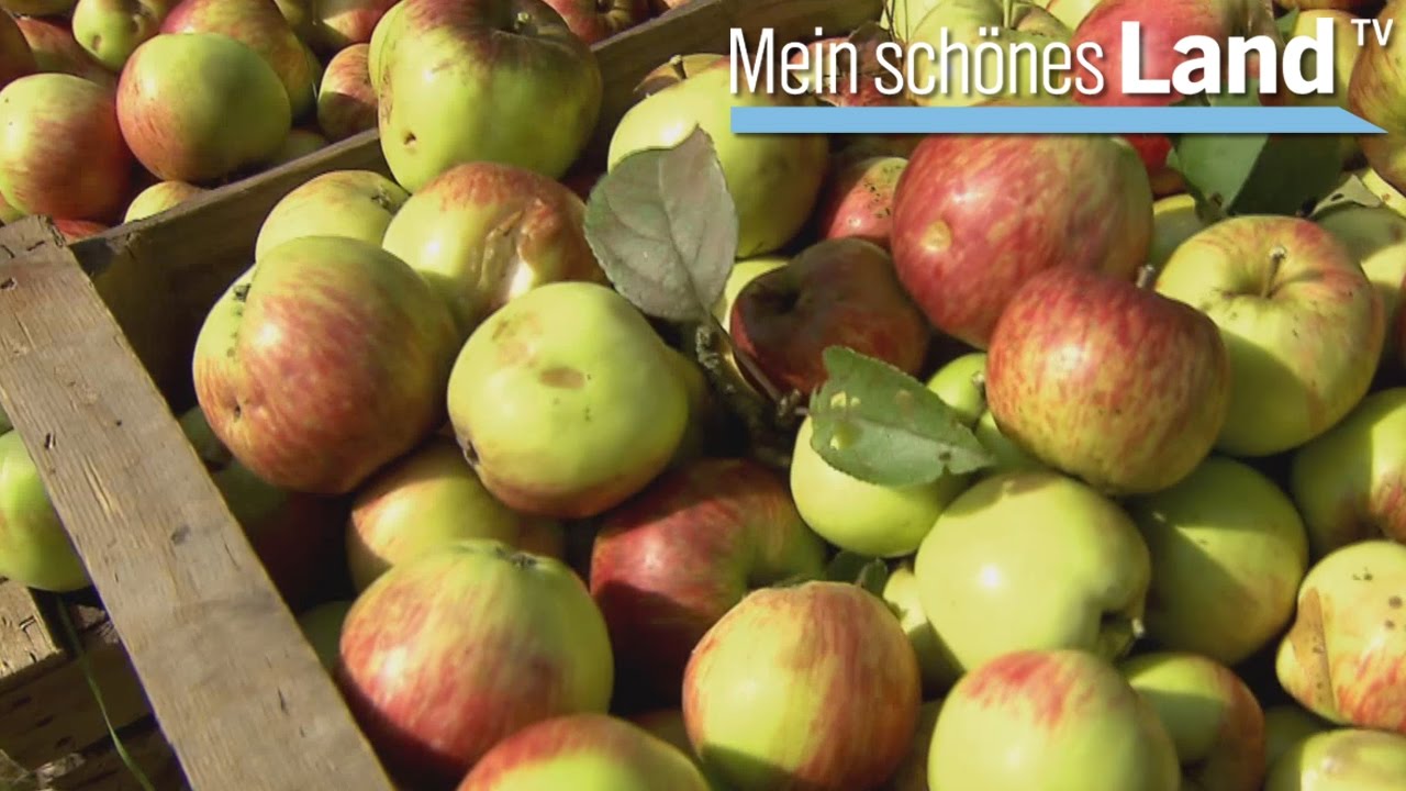 Oktober - die schönsten Höfe Norddeutschlands (NDR)