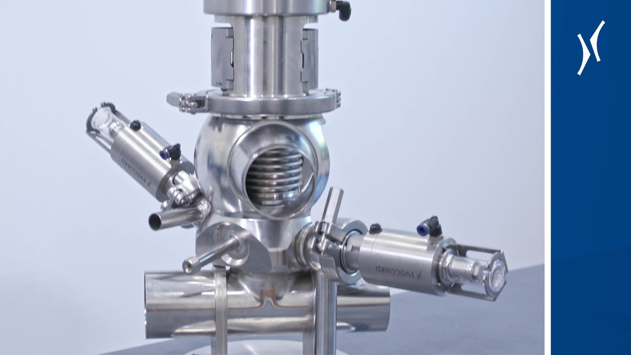 Evoguard: Disassembly/Overhaul of an aseptic mixproof valve MA