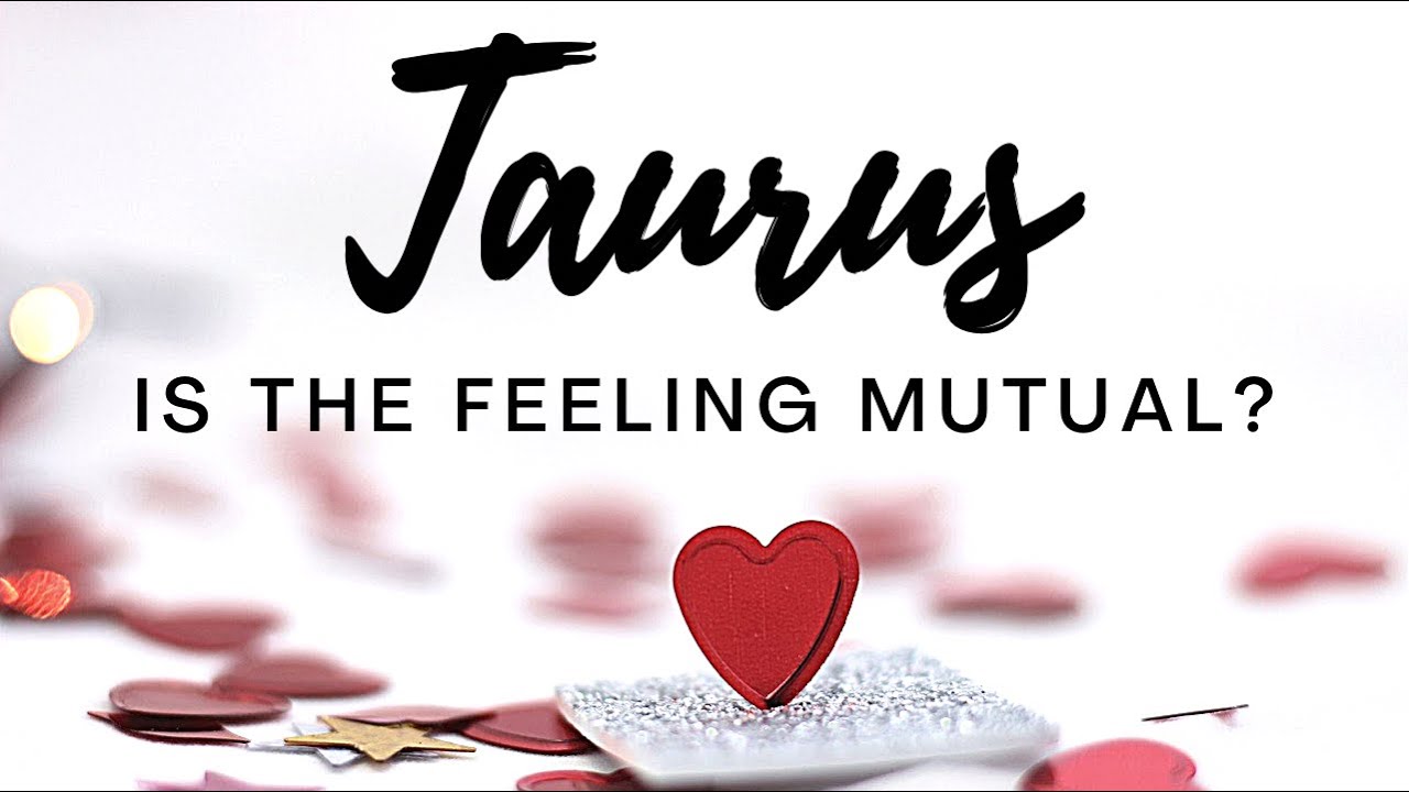 Taurus💕You unexpectedly opened their heart for love again! They’re simply blown away by you ✨