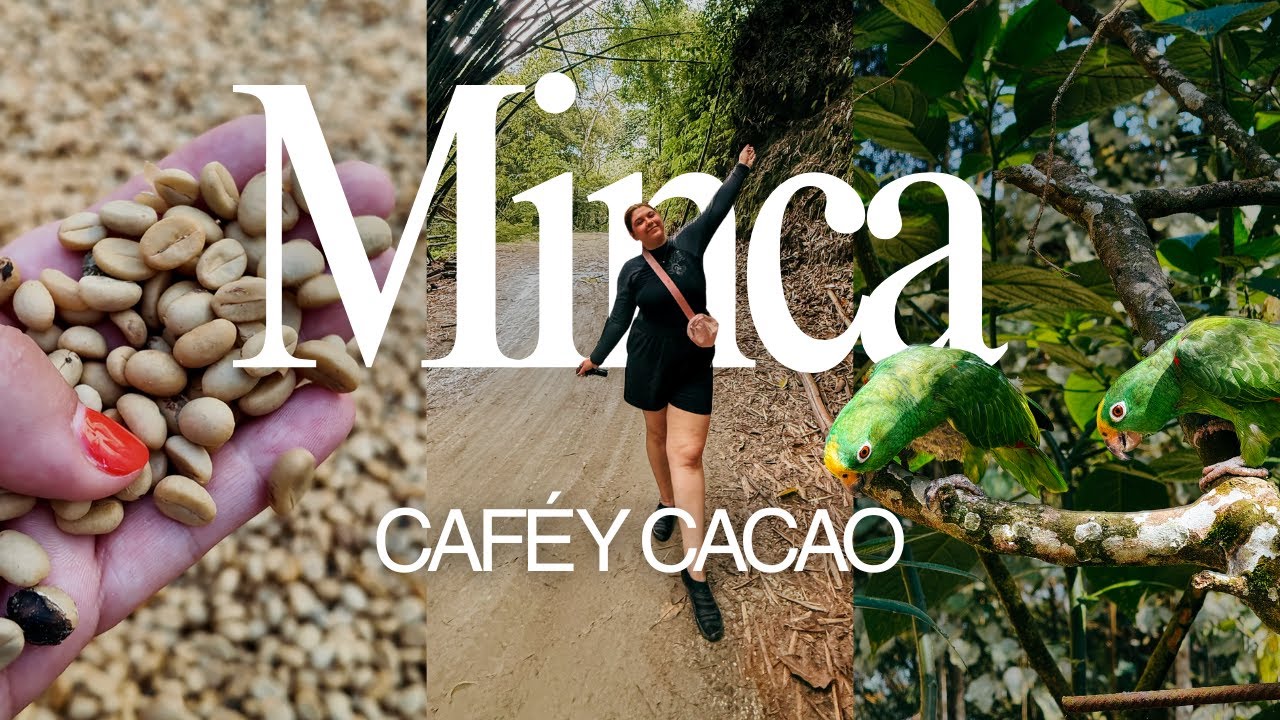 Probé el CAFÉ COLOMBIANO en medio de la selva ☕🌿 | MINCA 🇨🇴