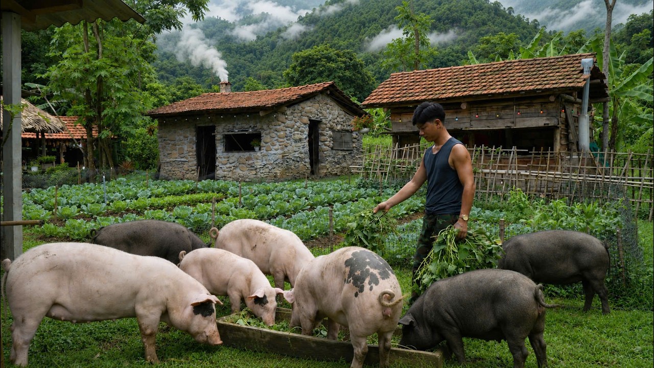 CEO Leaves City for Countryside Pig Farming 🐷 Results After 1 Year Surprise Everyone