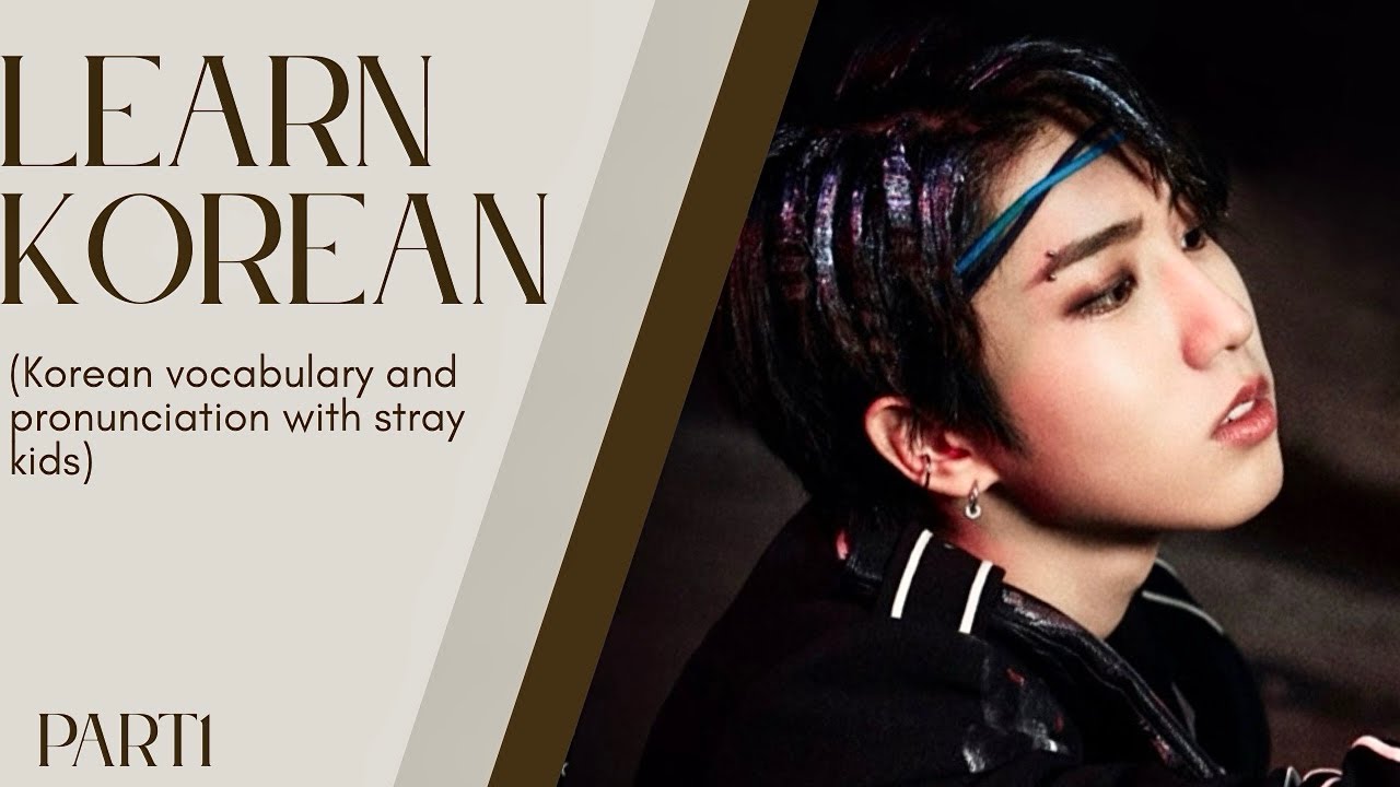 Stray Kids Back Door Korean Lessons| Learn Korean with K-Pop Lyrics – Part 1