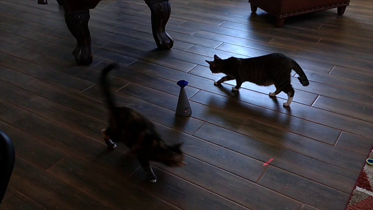New cat laser tower