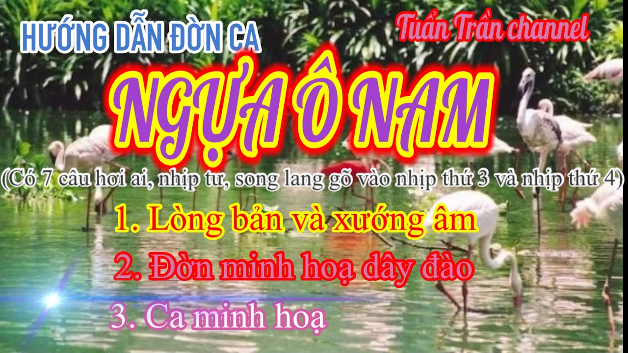 HƯỚNG DẪN CA, ĐỜN NGỰA Ô NAM