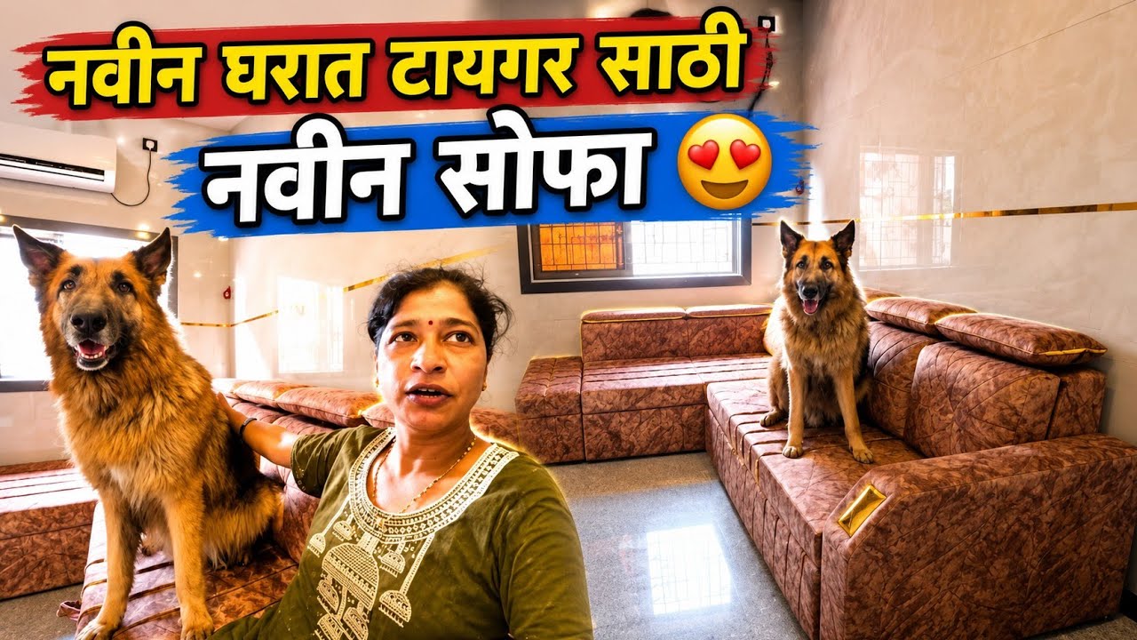 टायगर साठी नवीन सोफा आणला 🙂