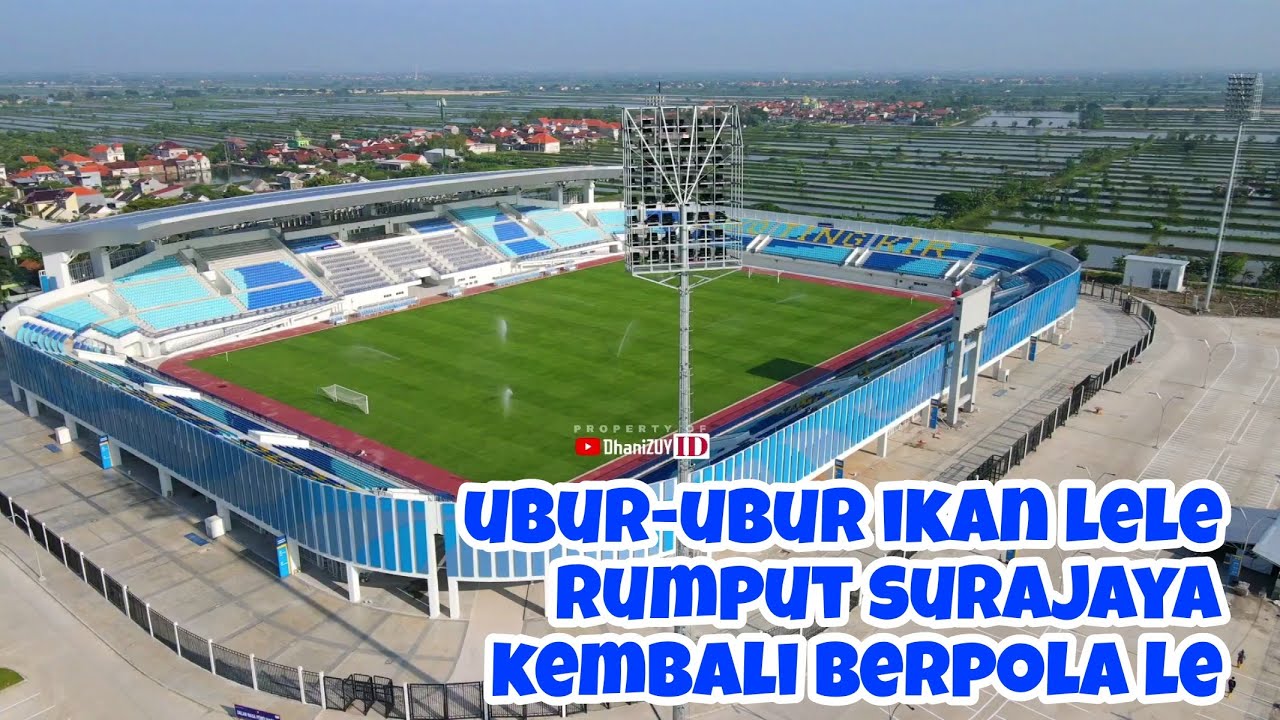 Update stadion surajaya lamongan | rumput sudah berpola lagi