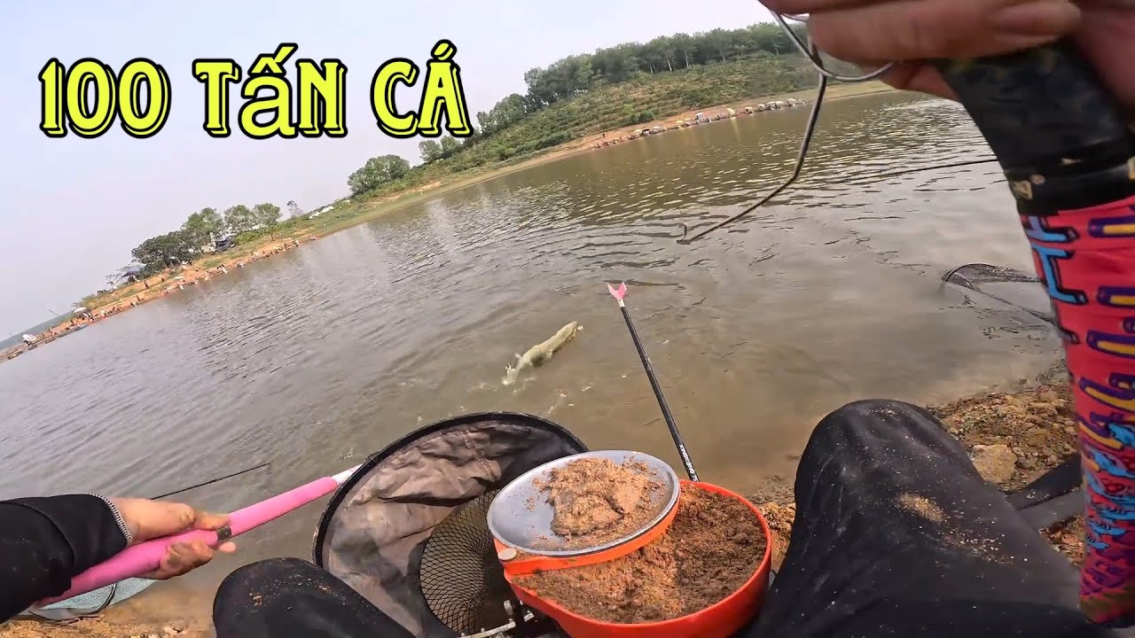 ✅ Di chuyển 588km câu giải ở cái đập bán thiên nhiên 100 tấn cá | DUY FISHING SAI GON
