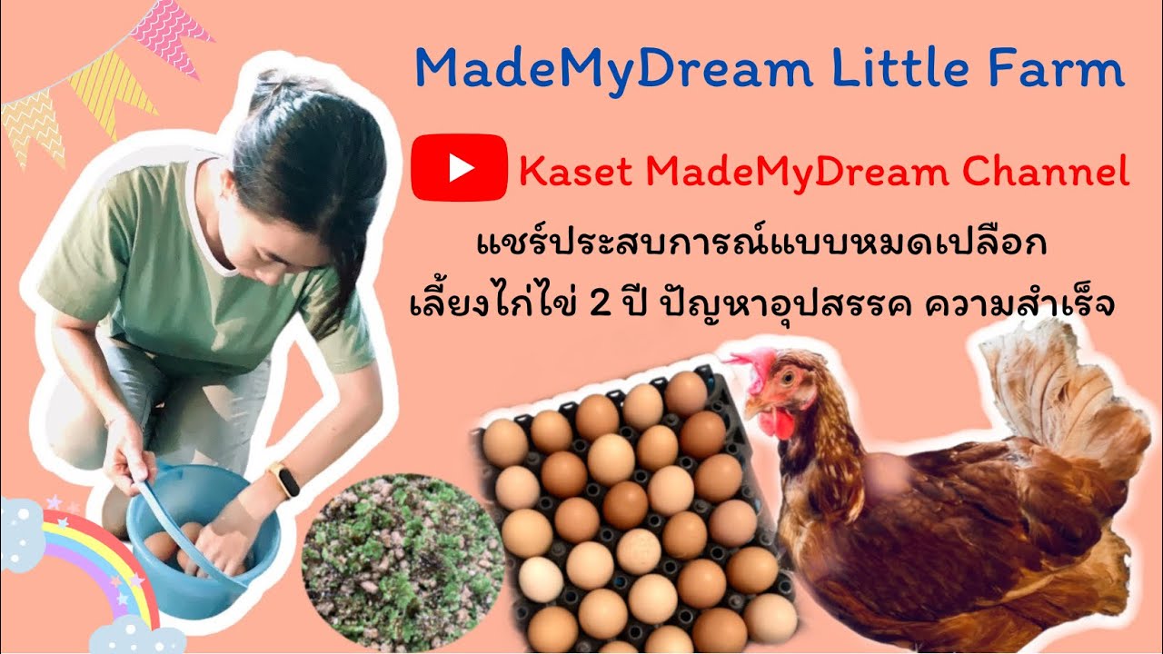 เลี้ยงไก่ไข่เข้าปีที่3 ปัญหาอุปสรรคมากมายพร้อมบอกวิธีแก้ไข้ แต่..ข้อดีก็มีไม่น้อย พร้อมเล่าสู่กันฟัง