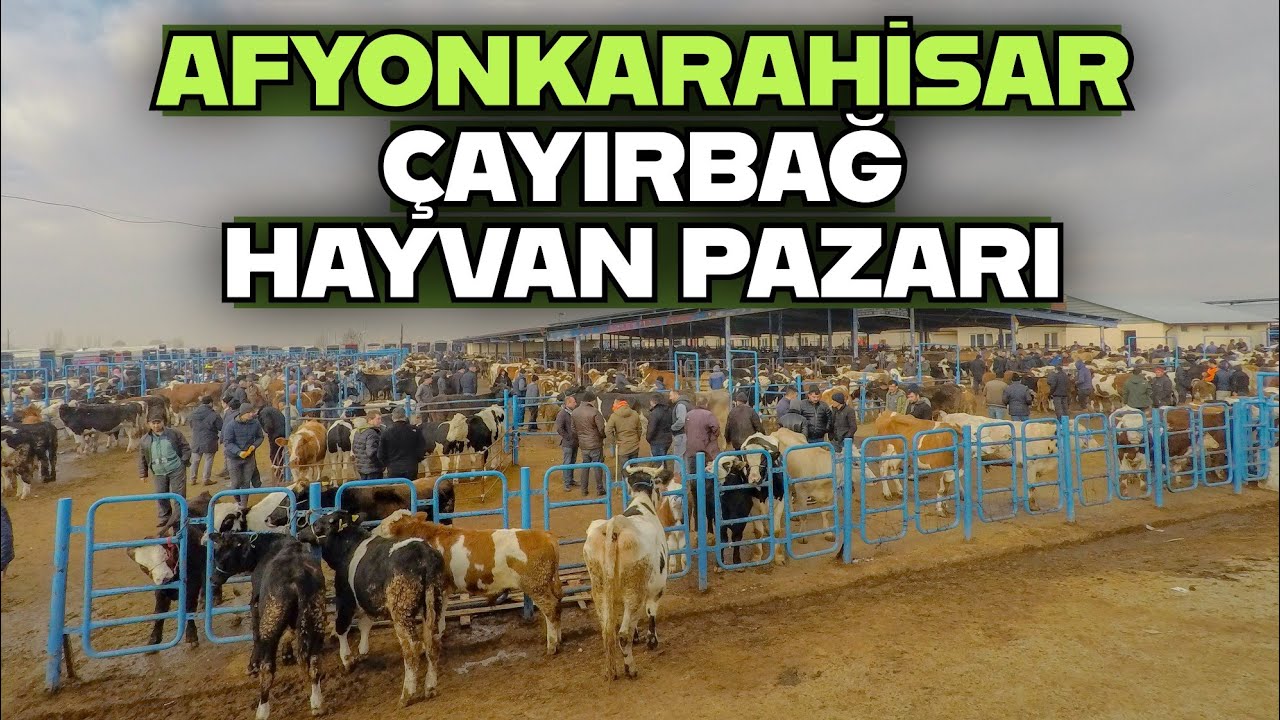 O Eski Halinden Eser Yok Şimdi...
