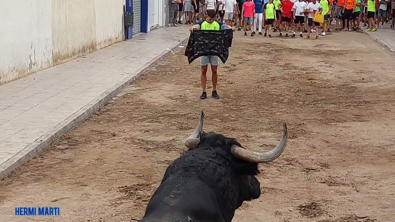 QUE BARBARIDAD DE TORACOS DE CUADRI-JANDILLA Y LOS MA&Ntilde;OS EN RAFELBU&Ntilde;OL CON SUSTOS Y COJIDA 21-6-2025