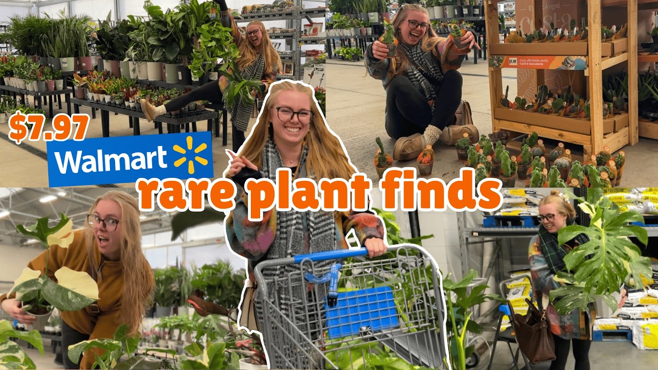 😱 NEW $7 RARE plant finds at Walmart 🤩 EXCITING big box plant shopping spree 🤑