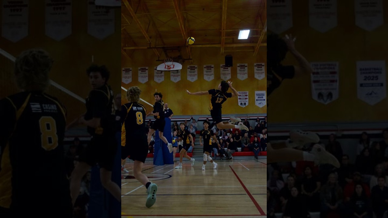 Andrzej Benson  -  Highlight Reel
