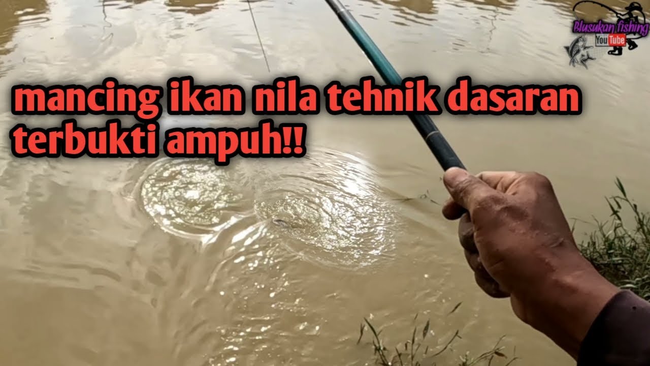 Mancing ikan nila tehnik dasaran terbukti ampuh..!!!