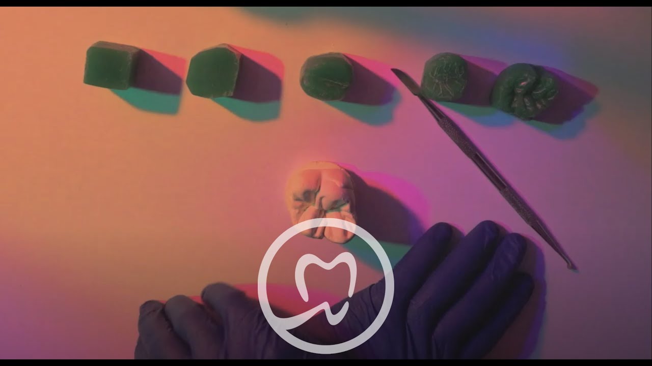 نحت المولر بأدق التفاصيل | Upper First Molar Tooth Carving (Part 1)