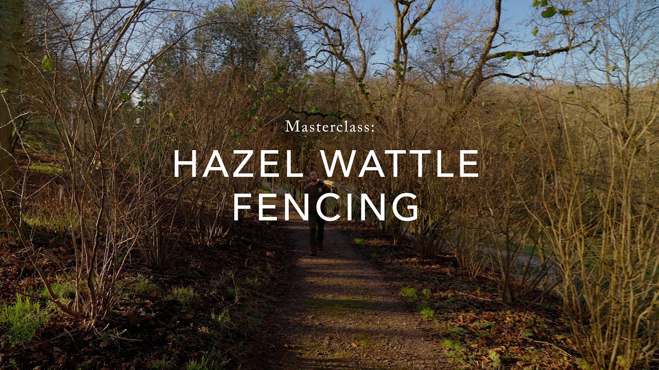 Masterclass: Coppicing hazel and constructing a wattle fence with Woodland Gardener, Matt Weaving