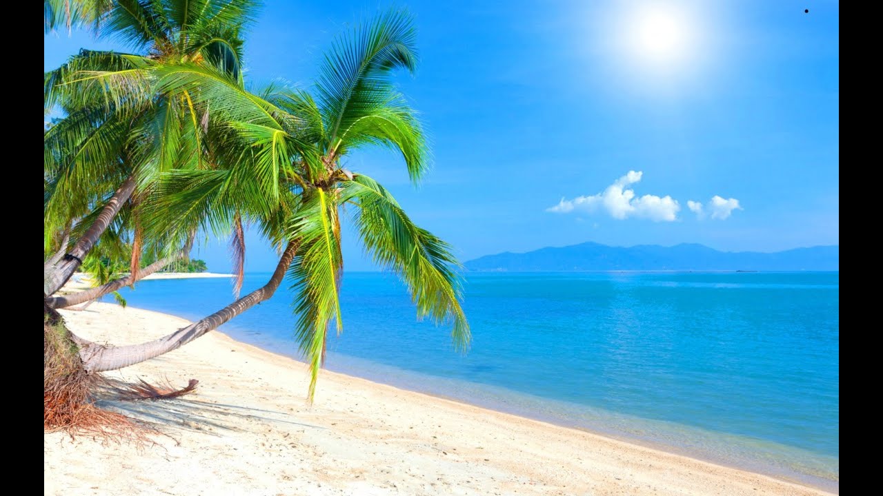 Tropical Island Music - Caribbean Dream