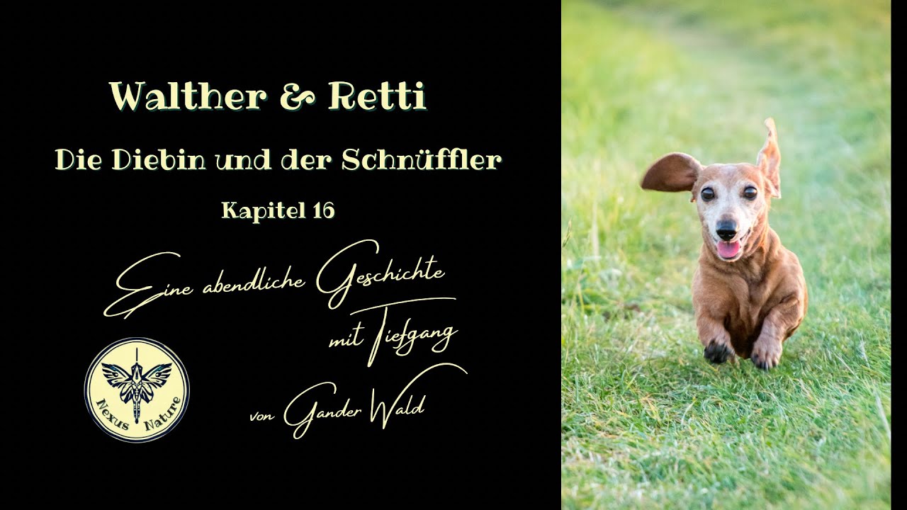 ✨  Walther & Retti - Kapitel 16 - Die Diebin und der Schnüffler  #Podcast