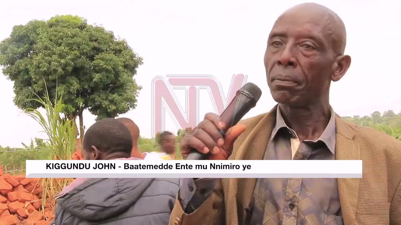 OKUTWALIRA AMATTEEKA MU NGALO: E Ssembabule waliwo abatemyeteye ente za munnamagye