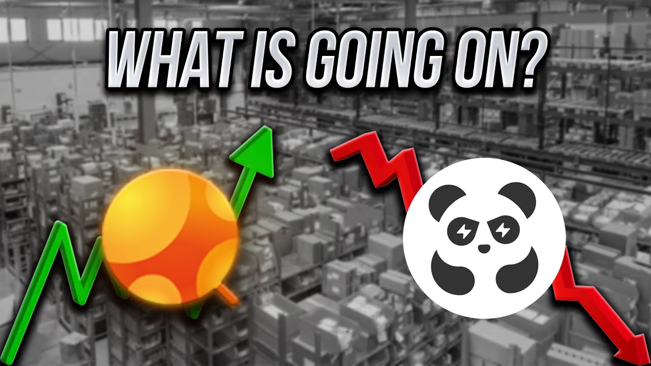 The Future of Replicas: Pandabuy Raid and Leak and Sugargoo