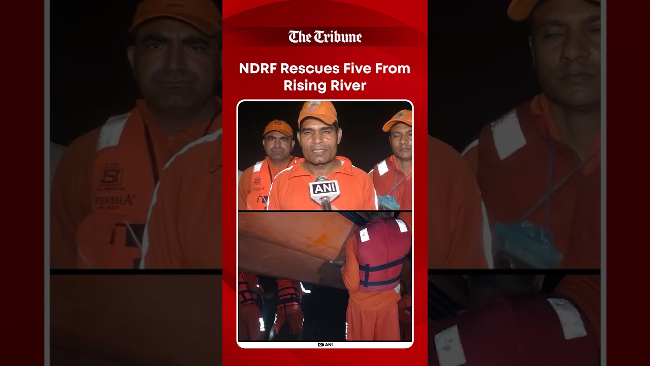 NDRF Rescues 5 People Stranded as Kankavati River Water Level Rises in Gujarat