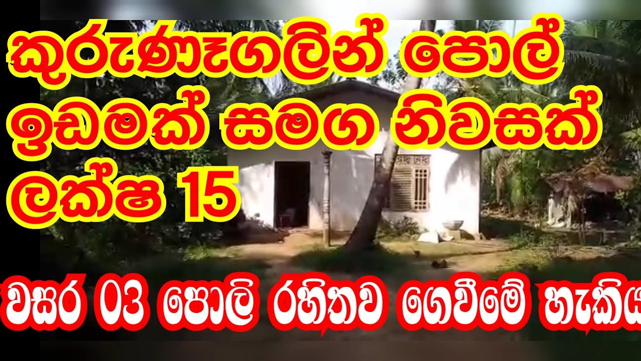 කුරුණෑගලින් පොල් ඉඩමක් සමග නිවසක් විකිණීමට ලක්ෂ 15 | kalu malli | aduwata idam