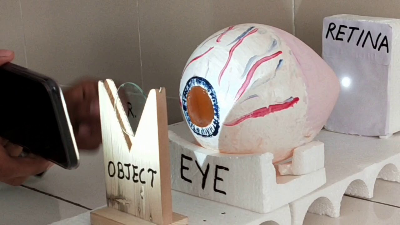 WORKING MODEL OF EYE
