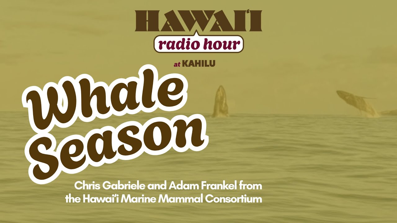 Hawaiʻi Radio Hour: Whale Season