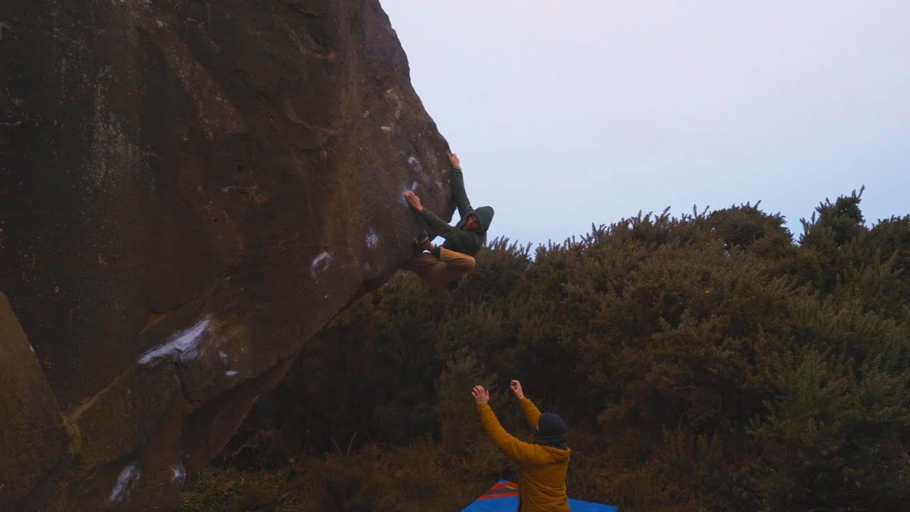 Requiem For A Dream (8A) | Stoupe Brow