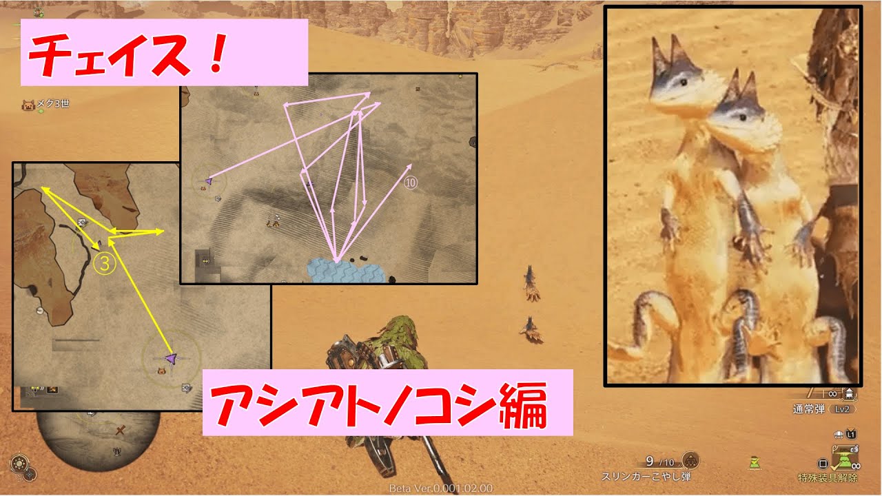 【MHWildsβ】はぐれ環境調査員の調査記録「チェイス！アシアトノコシ編」