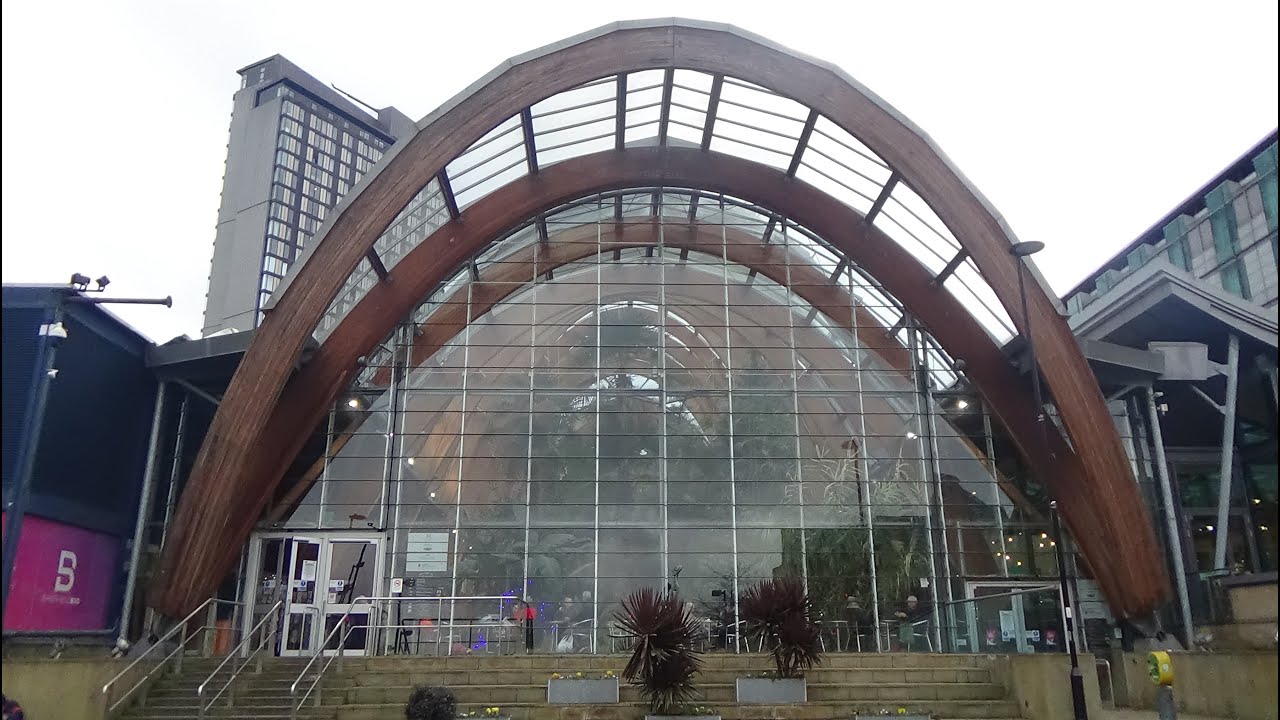 The Winter Gardens, Millenium Galleries, Sheffield UK