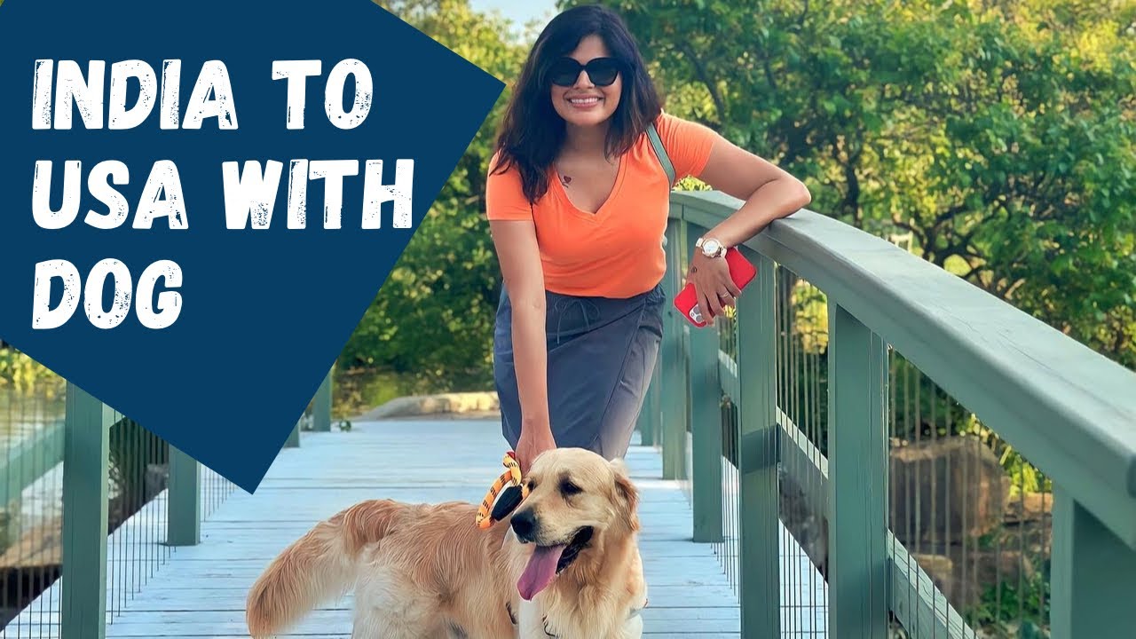 Travel from India to USA with Dog ||Pet relocation from India to USA ||Dog in International flight