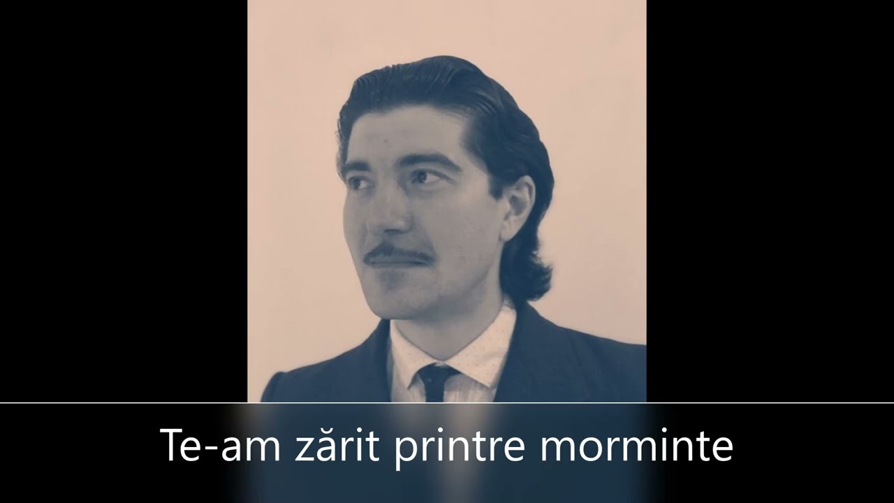 Te-am zărit printre morminte