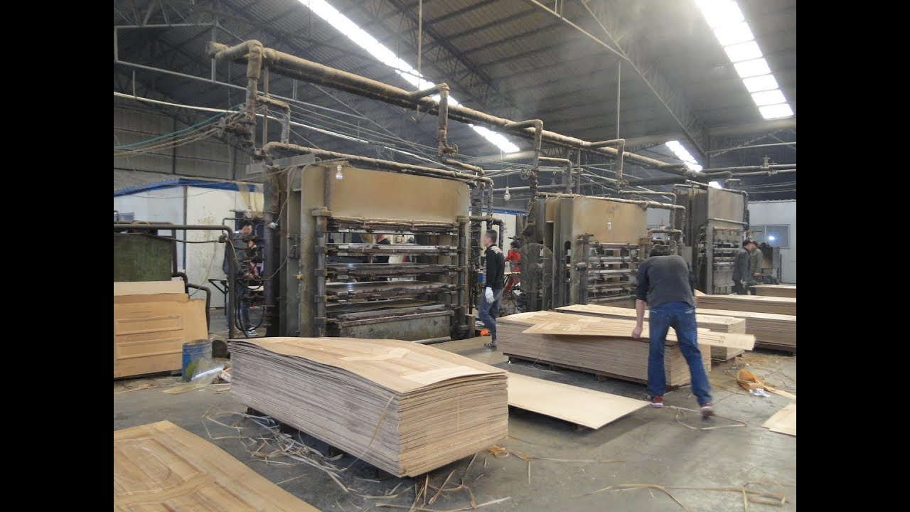 veneer lamineted door kin hot press with complete processing /  0086-139 5619 9239