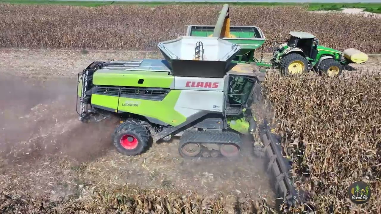 Claas Lexion 8700 Harvesting Corn