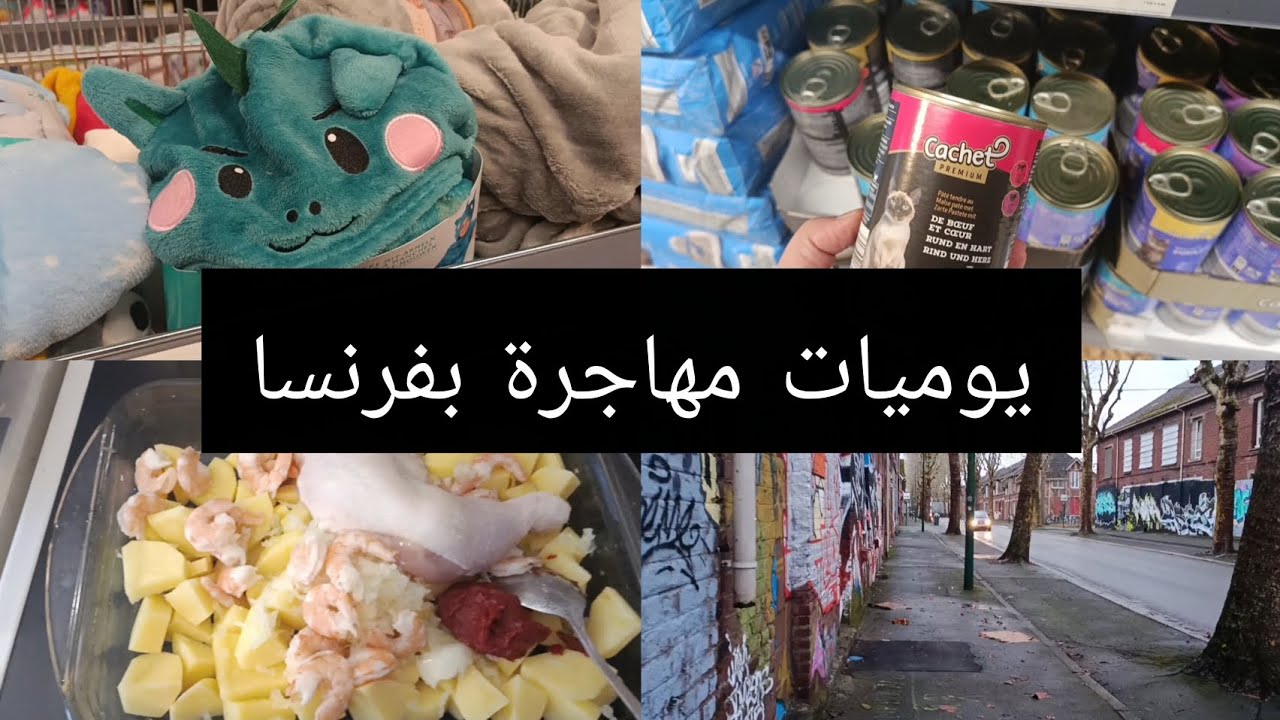 مهاجرة بفرنسا😉خرجة في الصباح 🥰الصولد في ليدلlidl☺️ مشتريات ☺️روتين 😍