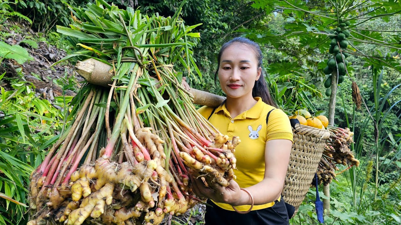 FULL VIDEO: Harvest sugarcane, cucumbers, dragon beans, ginger, ducks goes to the market sell