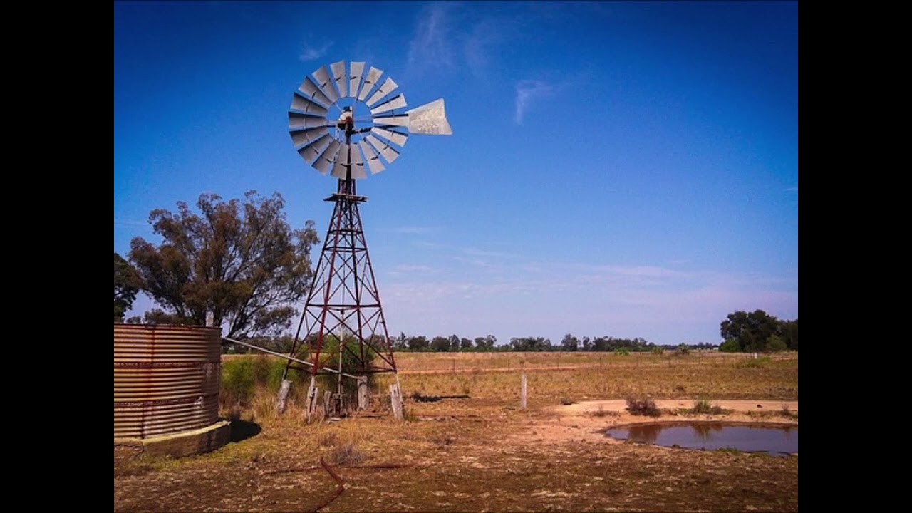 When the Red Red Robin by Al Jolson