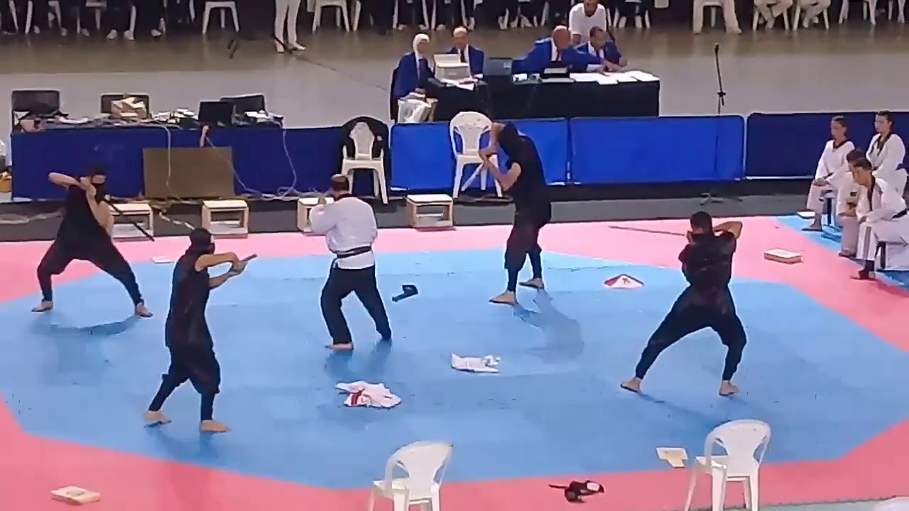 Kukkiwon taekwondo demonstration algeria 2019 -taekwondo vs ninja-