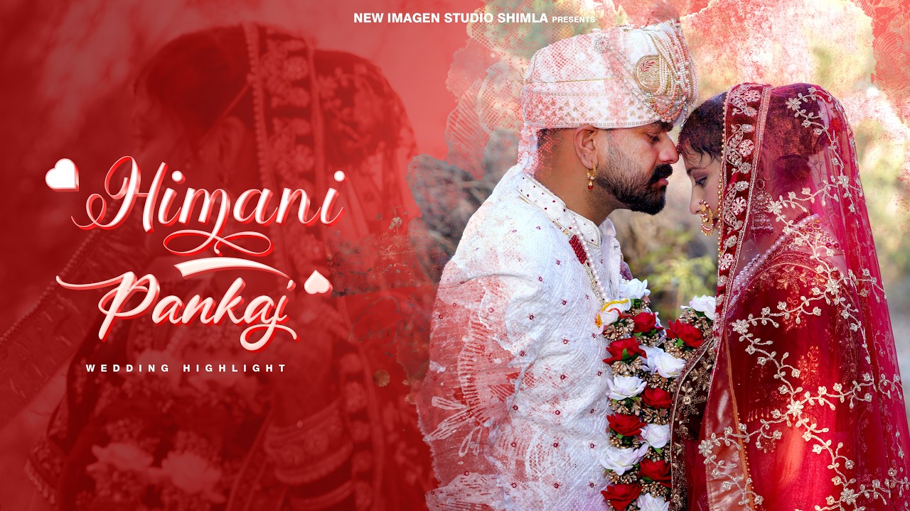 The Wedding Highlight | Himani & Pankaj || Wedding Moments | New Imagen Studio  Shimla ||