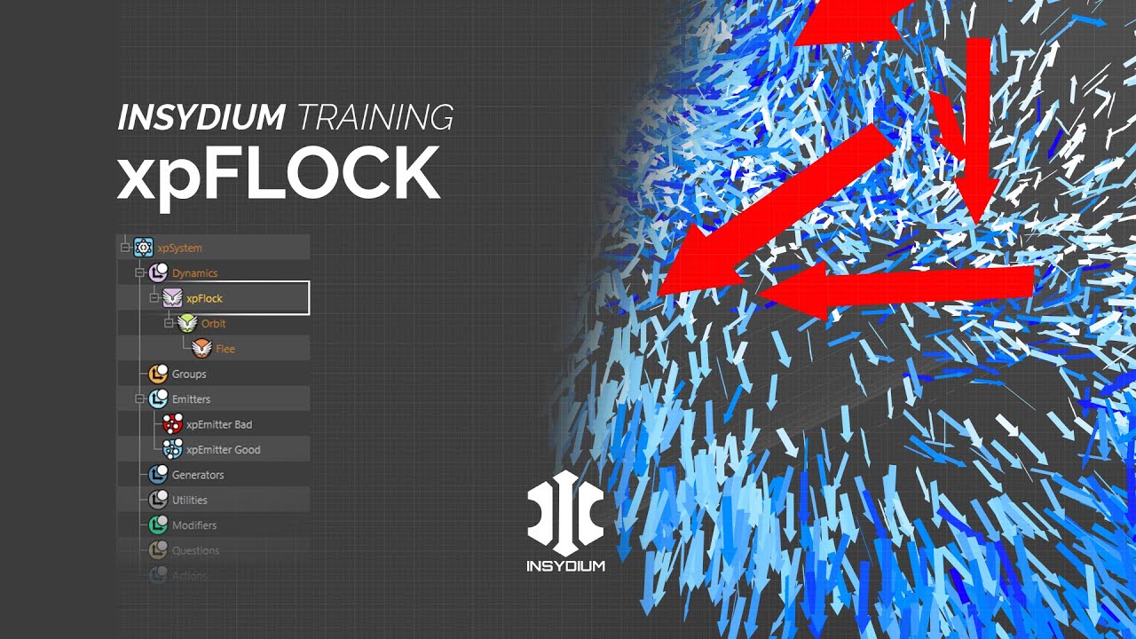 INSYDIUM Training - xpFlock