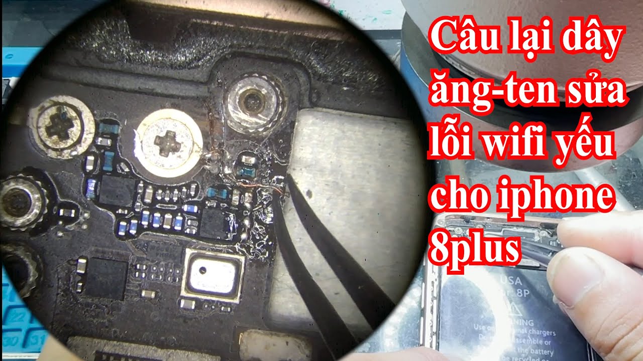 Câu lại dây ăng-ten sửa lỗi wifi yếu cho iphone 8plus / fix wifi very low iphone