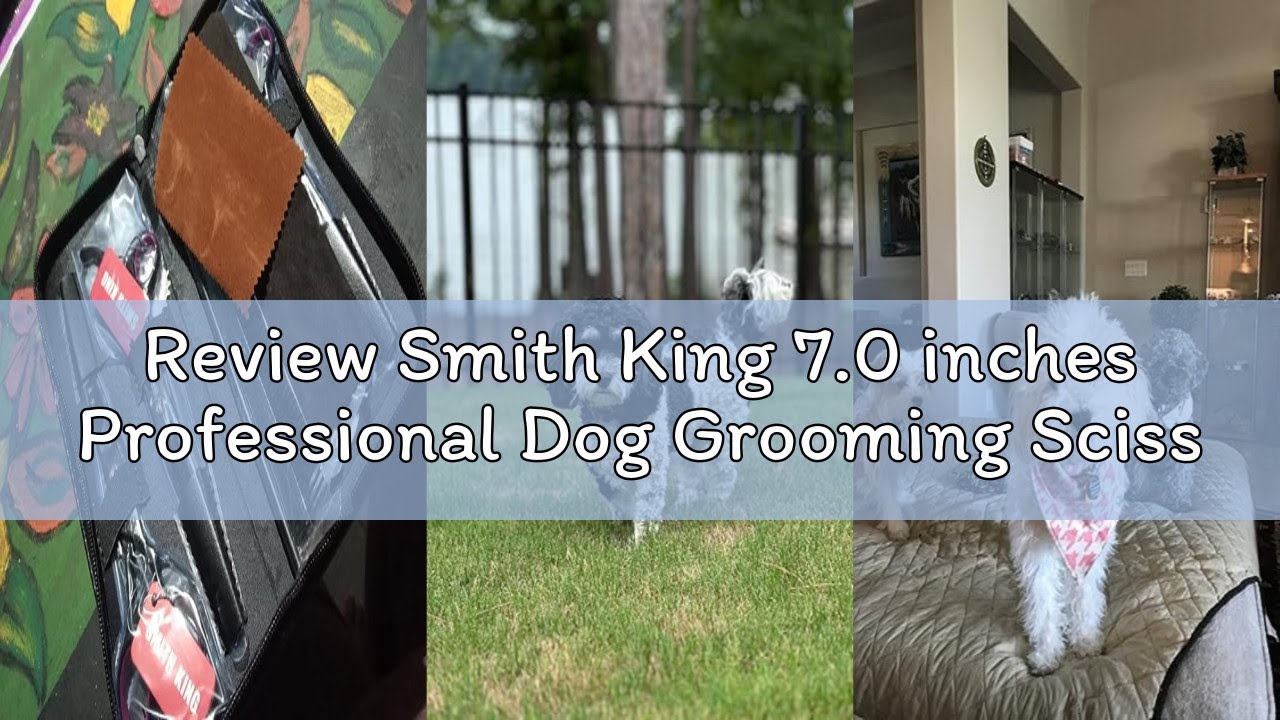 Review Smith King 7.0 inches Professional Dog Grooming Scissors Set Straight & thinning & Curved & c