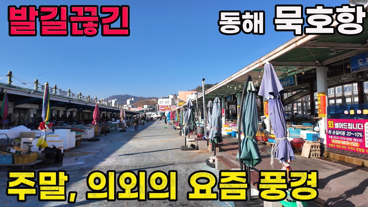 울릉도를 잇는 관문, 요즘 묵호항 실제 풍경은? | 동해시 걷기 4k