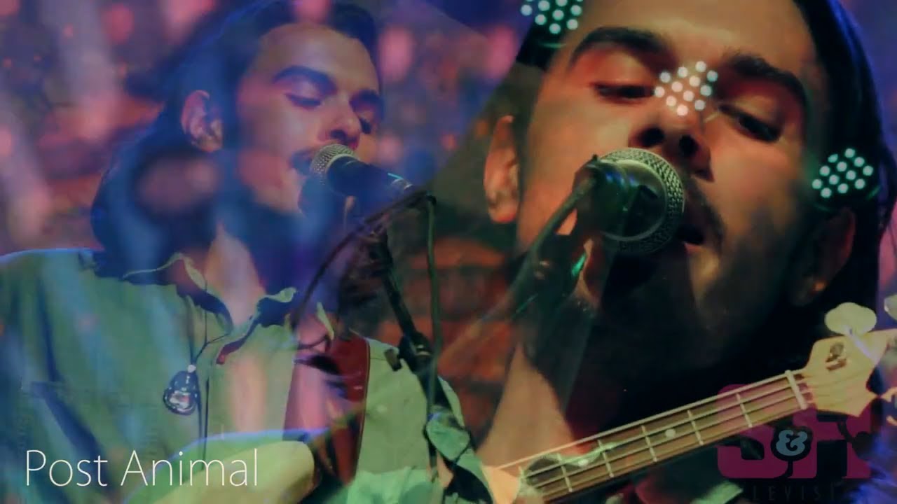 Post Animal - You Were Not There (LIVE at Constellation Room)