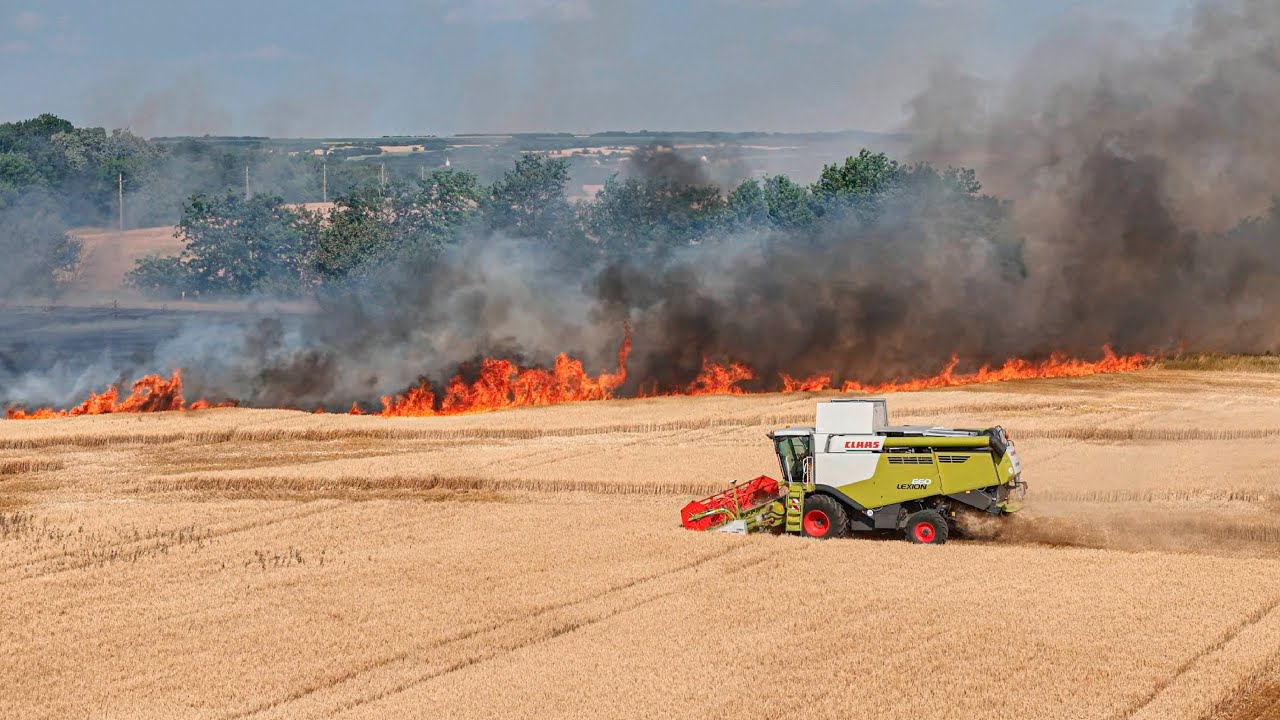 FIRE Barley Field (Harvest 2025 Hungary)