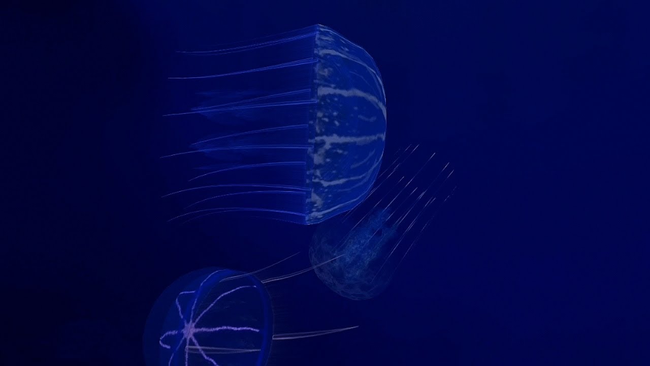 Quallen #relax #music  Aquarium #yellyfish Entspannung Meditation schlafen yoga Ambience Watersound 