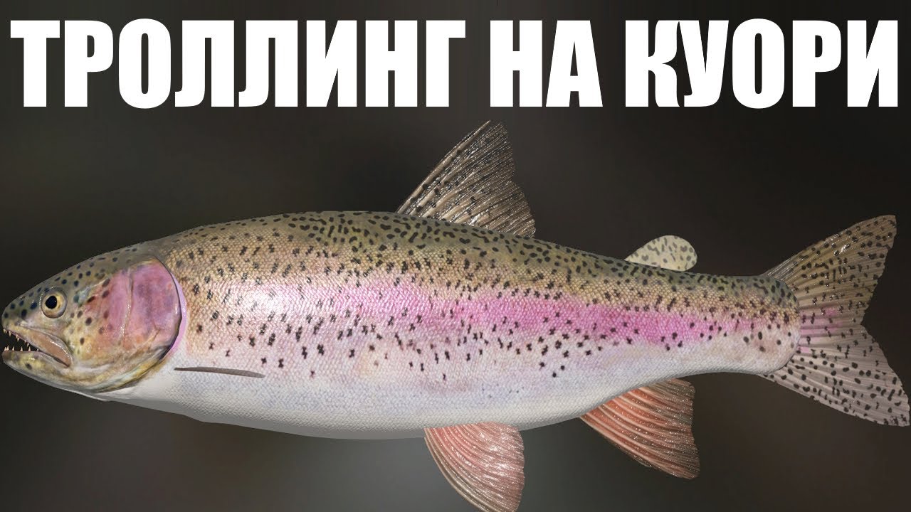 ТРОЛЛИНГ НА КУОРИ в РР4. Фарм серебра на Куори в Русская Рыбалка 4