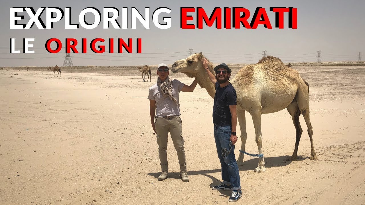 Dubai ed Abu Dhabi. Le Origini (La storia degli Emirati Arabi)