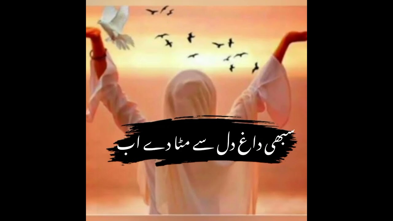 Urdu nazam ✨|Dil e muztarib|@natur706 🍂